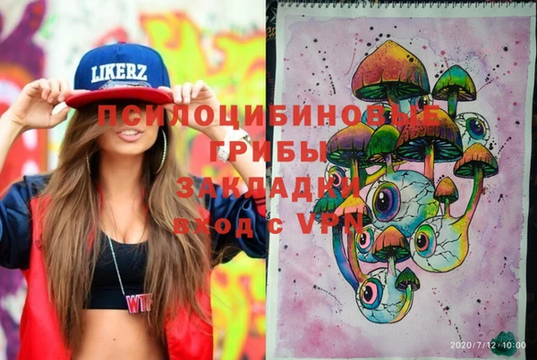 гашик Лихославль